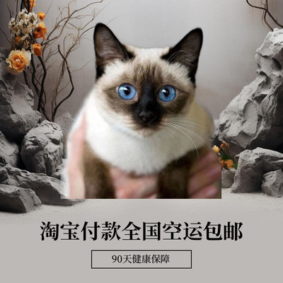 淘宝付款90天健康保障全国包邮