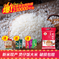 煲仔饭专用米 万年贡丝苗米 大米5kg2023新米油粘米 长粒香米10斤