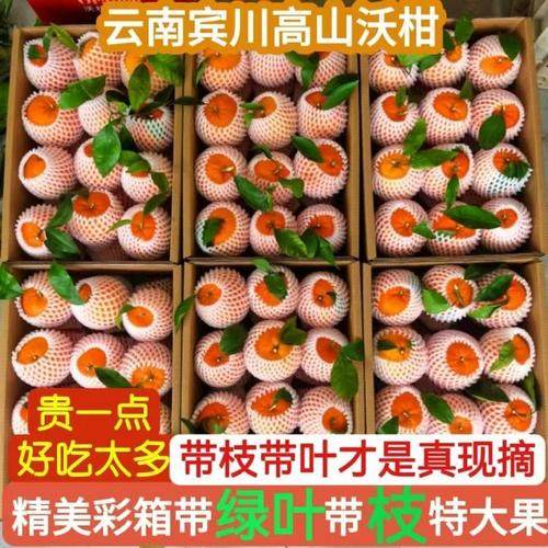 正宗云南沃柑新鲜水果当季现摘现发新鲜沃10斤柑新鲜带叶水果箱整,水产肉类/新鲜蔬果/熟食,桔子,淘宝优惠券,粉丝福利购,淘宝优惠卷