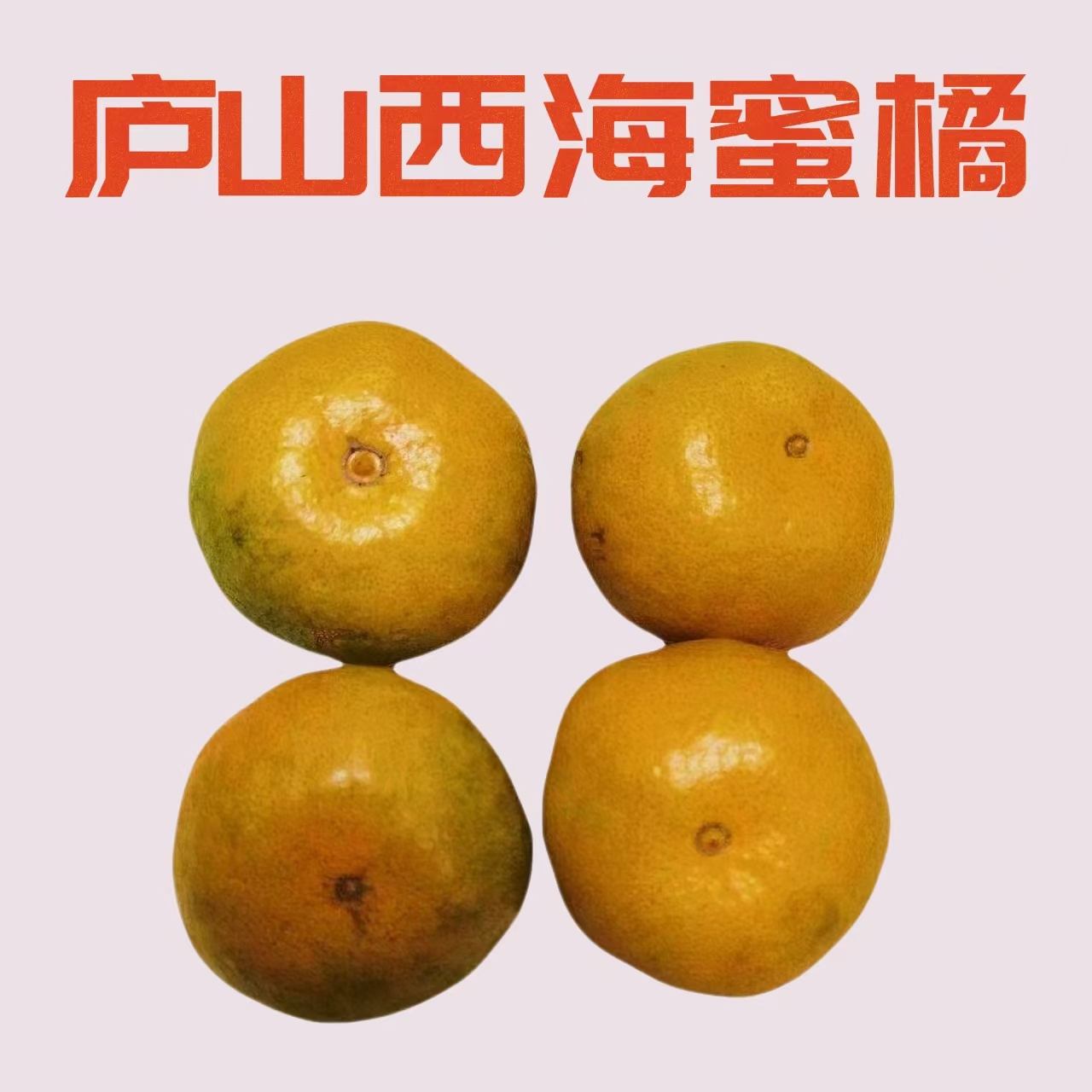 江西九江庐山西海蜜桔正宗永修易家河蜜橘当季新鲜水果现摘产地发