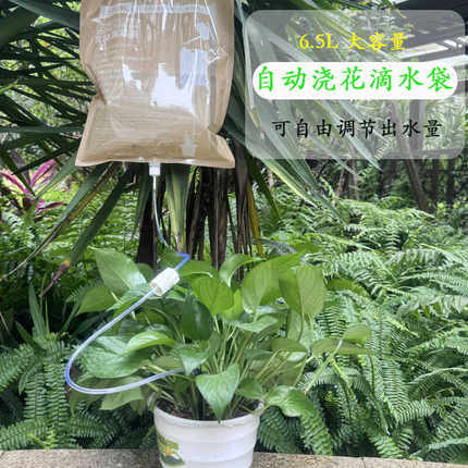 自动浇花神器家用可调节流速懒人滴灌渗水器盆栽浇水器植物输液袋