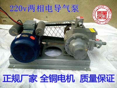 定制液化气泵液化气导气泵充气过气泵倒气充装泵220v48v12v车载导