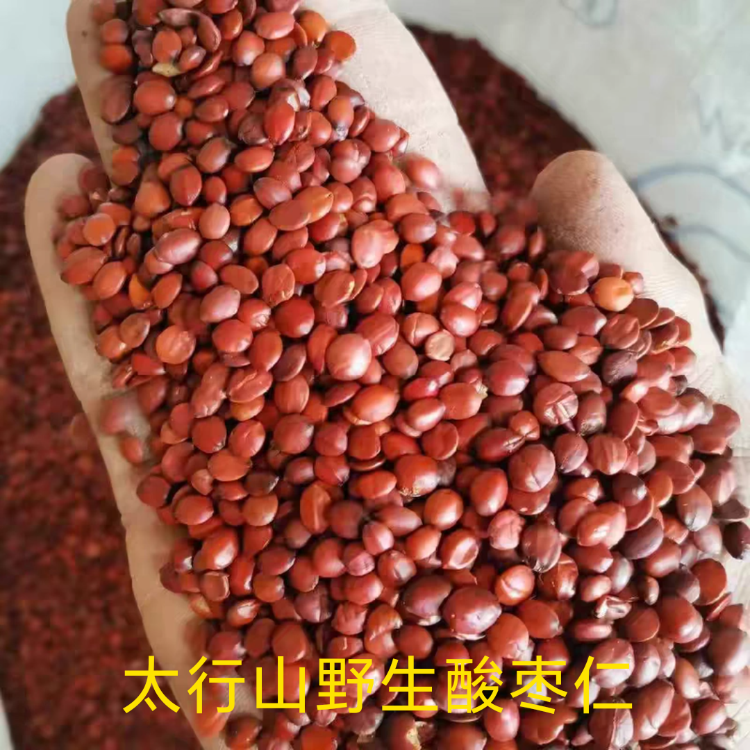 太行山野生酸枣仁正宗赞皇县产地直发