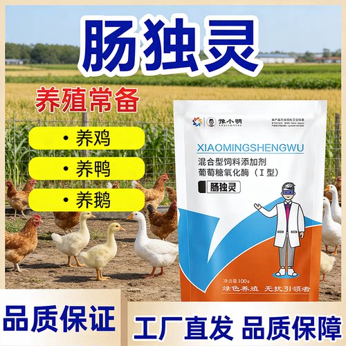 拉稀黄白痢肠道药鸡药鸡鸭鹅猪