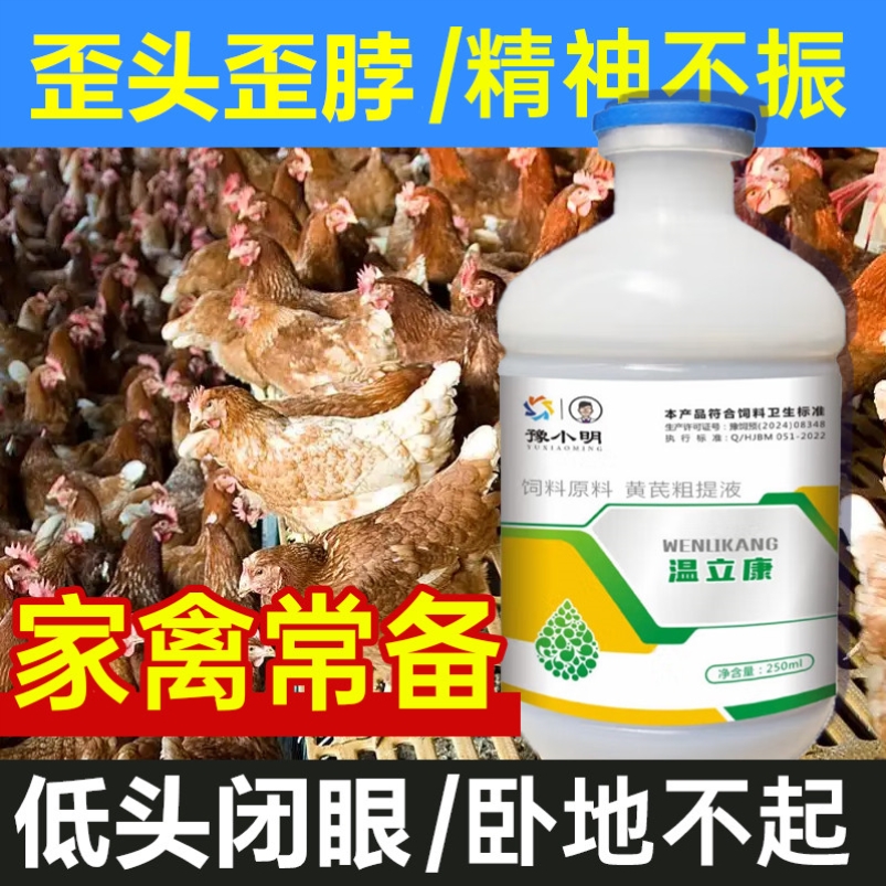 温立康正品禽用羽毛松散无精打采鸡鸭鹅用受凉家禽禽类歪头缩脖