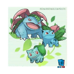 PTCG繁中关都御三家妙蛙种子妙蛙草妙蛙花宝可梦卡牌官方正版