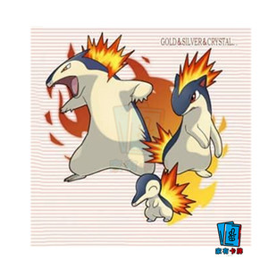 PTCG繁中城都御三家火球鼠火岩鼠洗翠火爆兽宝可梦卡牌官方正版