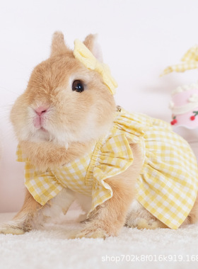 可爱波点兔子衣服外出装扮时尚格子裙保暖裙荷兰猪兔兔服饰牵引绳