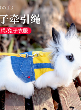 溜兔子牵引绳兔兔绳子用品衣服链子小白兔宠物遛兔绳牵兔绳防挣脱
