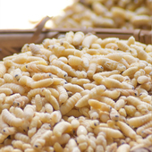 蜂蛹新鲜马蜂蛹活体干油炸即吃冷冻地蜂虎头蜂张家界500g