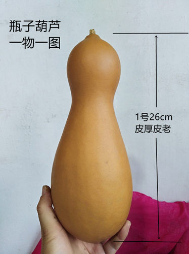 天然异形瓶子本长葫芦一物一图工艺品欣赏