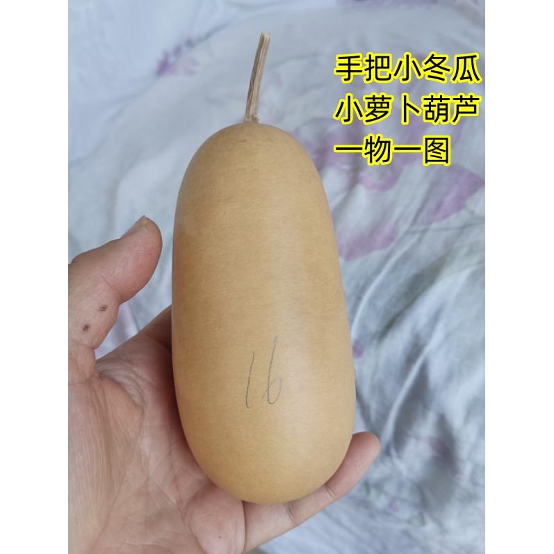 天然异形小冬瓜小萝卜葫芦手把件