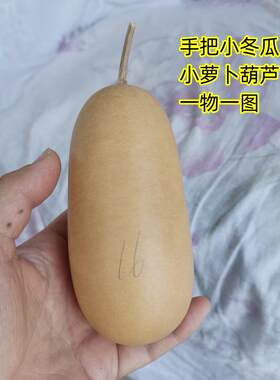 天然异形小冬瓜小萝卜葫芦手把件