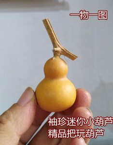 天然美国手捻小葫芦精品收藏把玩文玩收藏3-4cm一物一图精挑细选