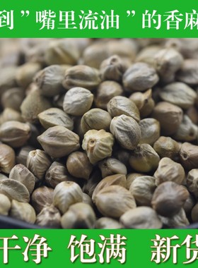 甘肃特产天水麻子包邮麻子大粒新货人吃食用大颗粒麻子