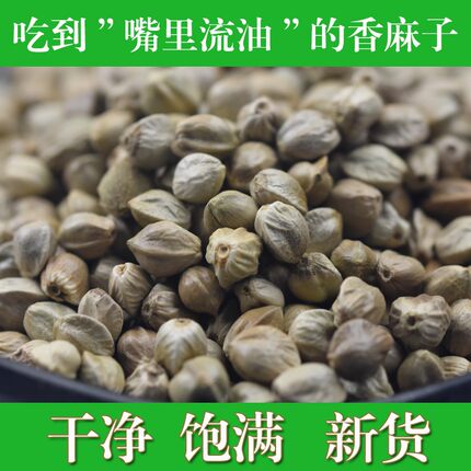 甘肃特产天水麻子包邮麻子大粒新货人吃食用大颗粒麻子