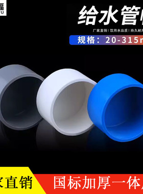 20 25 32 40 50 63 75PVC管帽 堵头闷头盖子胶粘塑料给水管件配件