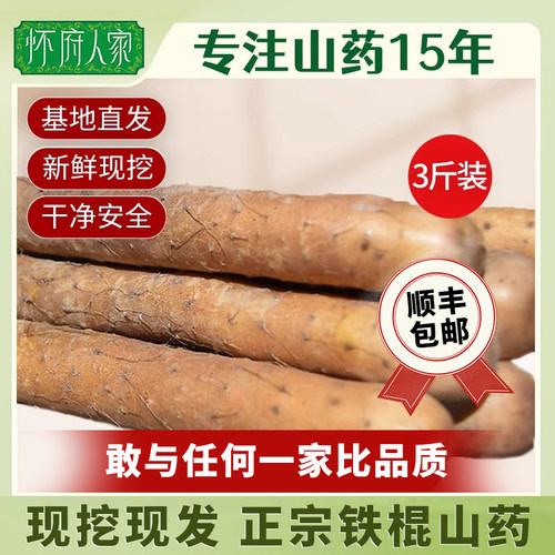 怀府人家焦作铁棍山药淮山药新鲜