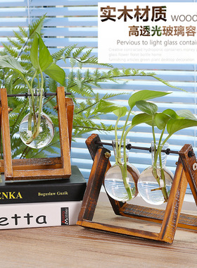 透明水培植物花瓶容器桌面摆件