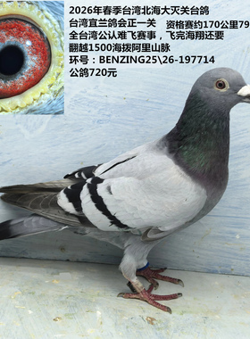 2026年春季台湾北海大灭关台鸽 台湾宜兰鸽会正一关 资格赛79名