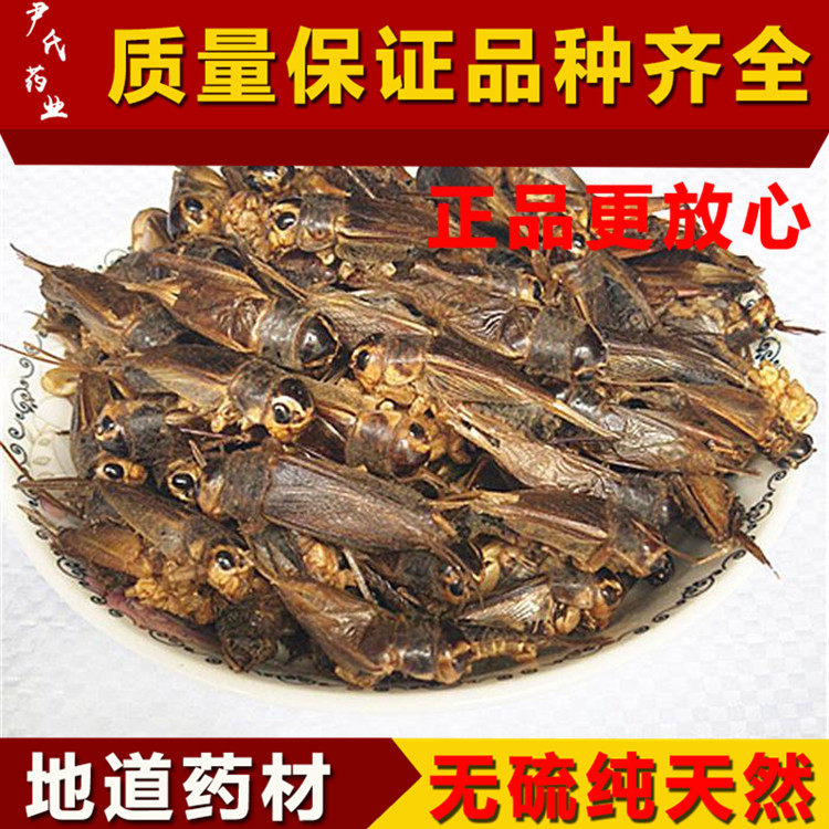 野生蟋蟀干中药材蟋蟀500克包邮 干蛐蛐 另有蟑螂 蝼蛄 蝗虫