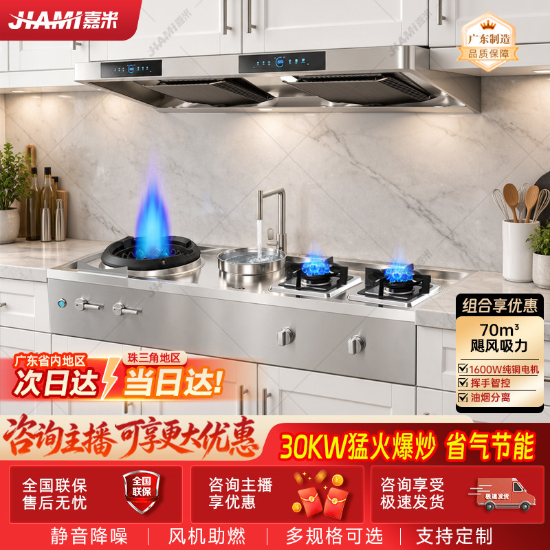 【201材质】橱柜一体烟灶套装双灶大吸力灶具爆炒家用猛火燃气灶