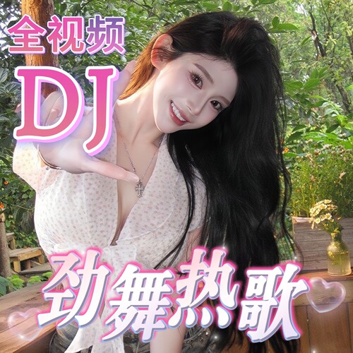 车载u盘高清全视频mv带歌词音乐
