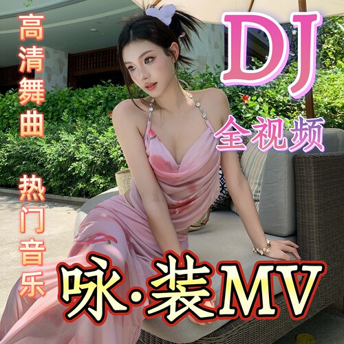 车用舞曲DJ全视频MV汽车载u盘