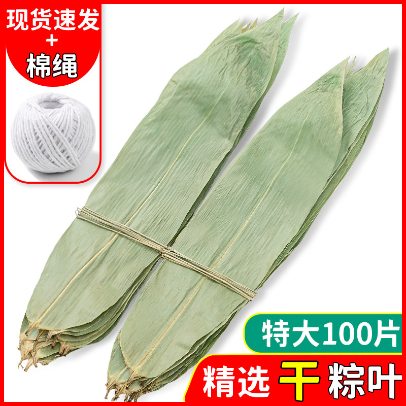 新鲜特大号包粽子的叶子新叶