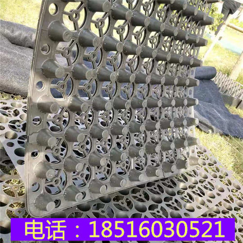 阳台种花楼顶花池种菜阻根疏水板车库顶板隔热绿植HDPE蓄排水板