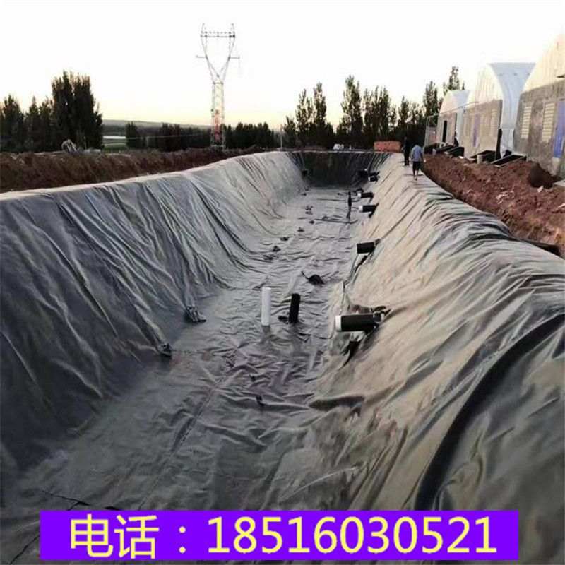 蓄水池人工湖虾池鱼塘莲藕池防渗HDPE土工膜屋顶种菜防穿刺防水膜