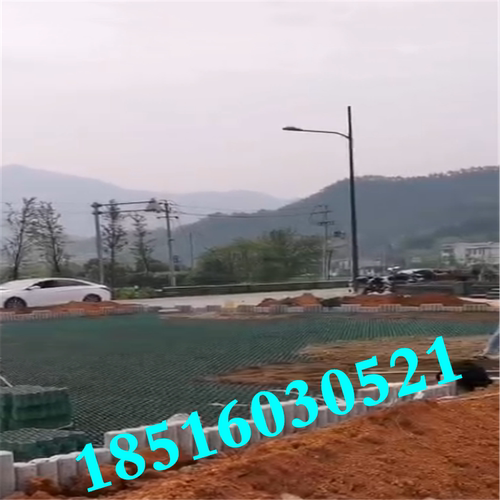 小区停车位停车场植草格护坡人行道消防车道抗压塑料草坪砖上海