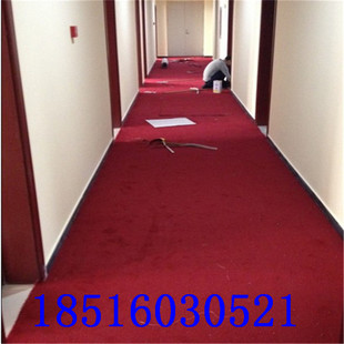 美容院健身房满铺弯头纱地毯演播厅录音棚工作室加厚阻燃簇绒地毯