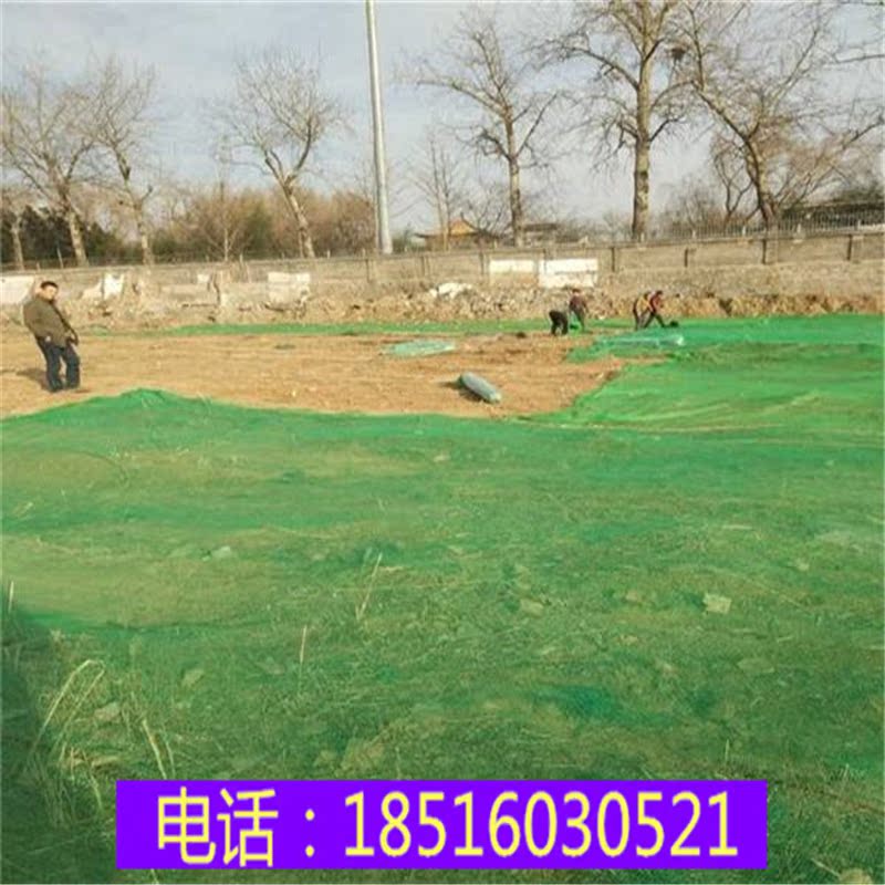 公路护坡植草园林绿化三维植被网工地防尘覆盖山体喷播种植草皮网