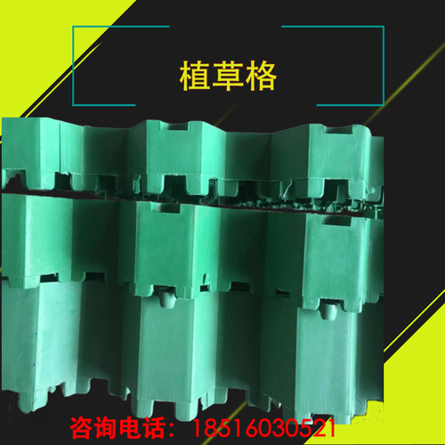 塑料植草格停车场消防登高面公园人行道绿化耐磨压草坪砖上海现货