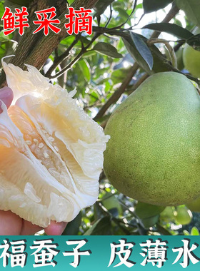 正宗安福蚕子江西特产吉安金兰柚孕妇新鲜水果萍乡武功山吉水柚子