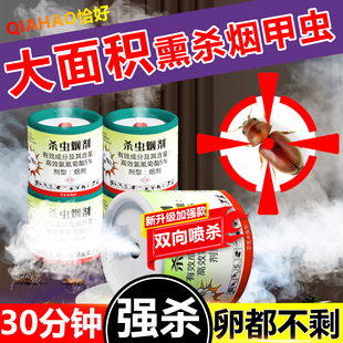 烟甲虫杀虫剂家用室内非无毒烟剂强力烟雾熏杀虫弹烟草虫诱捕神器