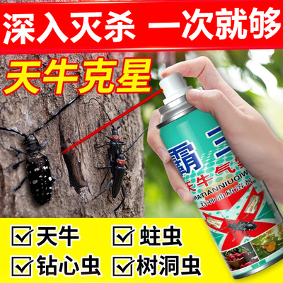 幼虫专用药天牛克星木材