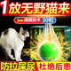 驱猫神器室外长效专用药防猫爬车发动机舱强力除赶野猫乱尿柑橘味