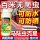 马陆虫杀虫剂户外花园土壤千足虫家用室内非无毒药粉驱杀专用克星