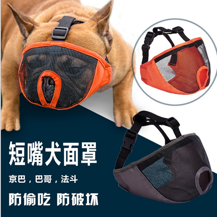 松狮嘴套价格 松狮嘴套图片 星期三 松狮嘴套价格 松狮嘴套图片 星期三