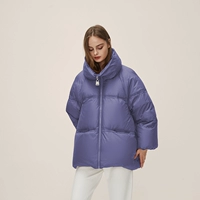 Роза фиолетовый