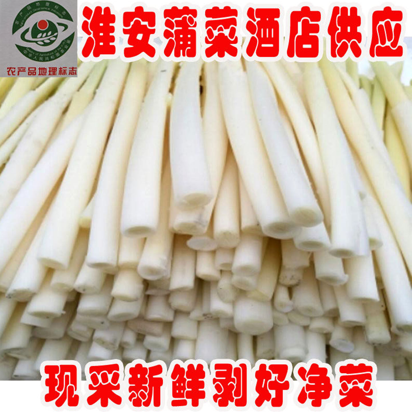蒲菜6月份新鲜时令野菜茭白淮安特产蒲笋蒲儿菜净菜酒店