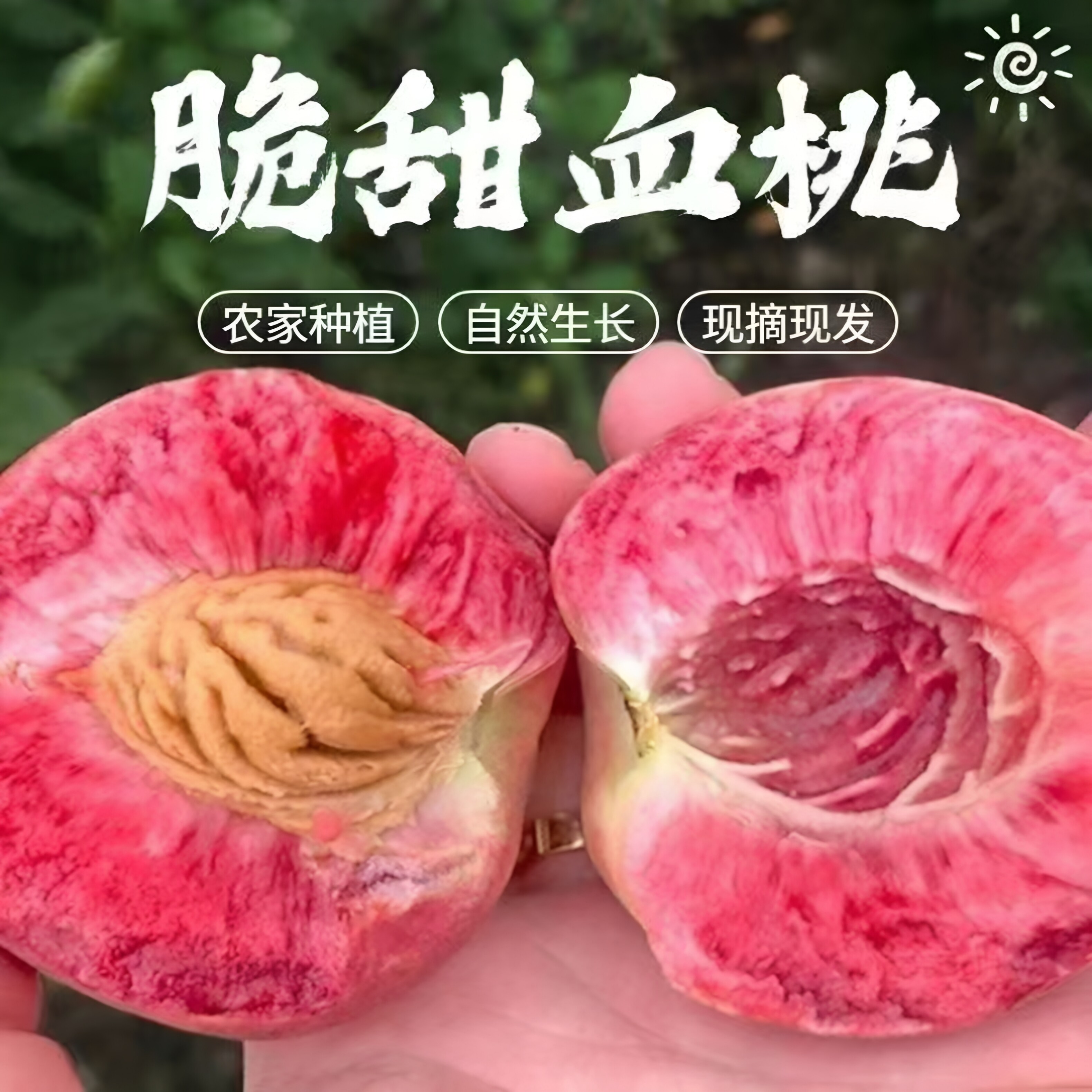 湖北老树中华红血桃脆甜香甜新鲜水果应季孕妇