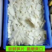 广西特产钦州灵山鲜脆笋清水笋片农家嫩笋片1斤装 包邮 绿色无添加