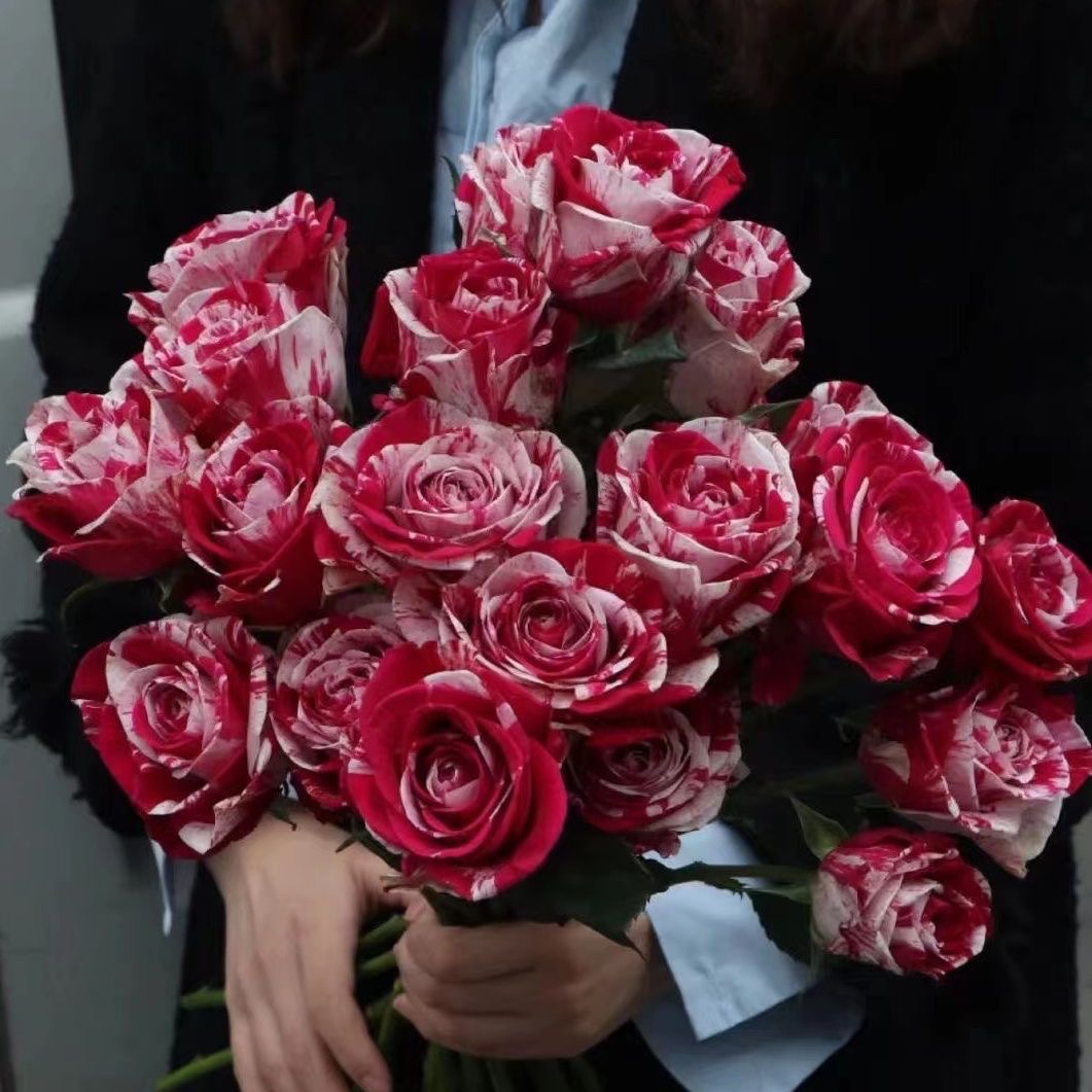 方德笑魇玫瑰基地直发情人节用花家庭客厅室内水养鲜切花顺丰包邮