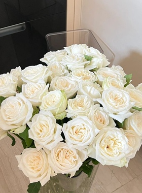 白荔枝玫瑰云南基地顺丰包邮直发家庭客厅办公室水养鲜切花