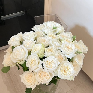 白荔枝玫瑰云南基地顺丰包邮直发家庭客厅办公室水养鲜切花