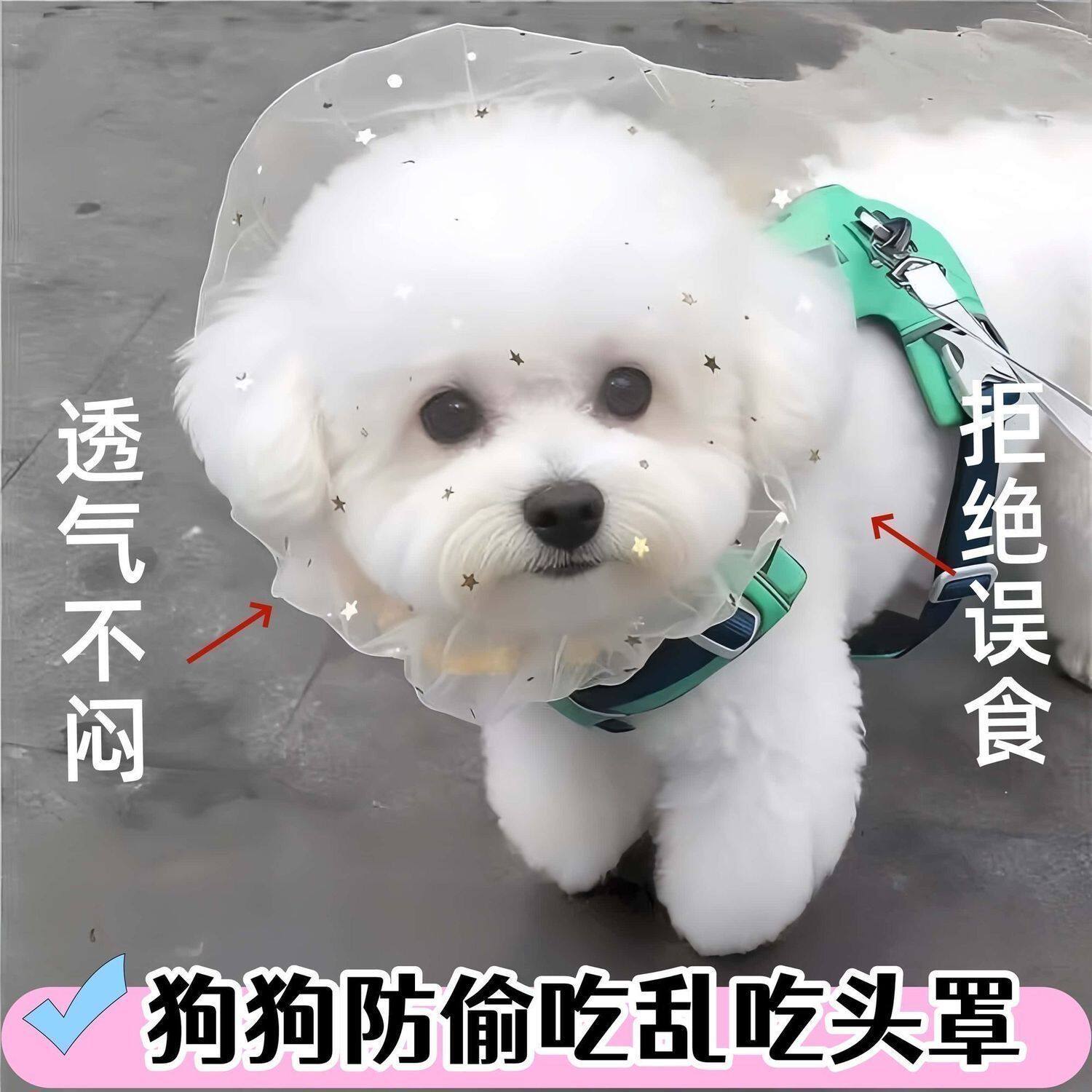 防偷吃乱吃网纱狗狗头套小型犬泰嘴套