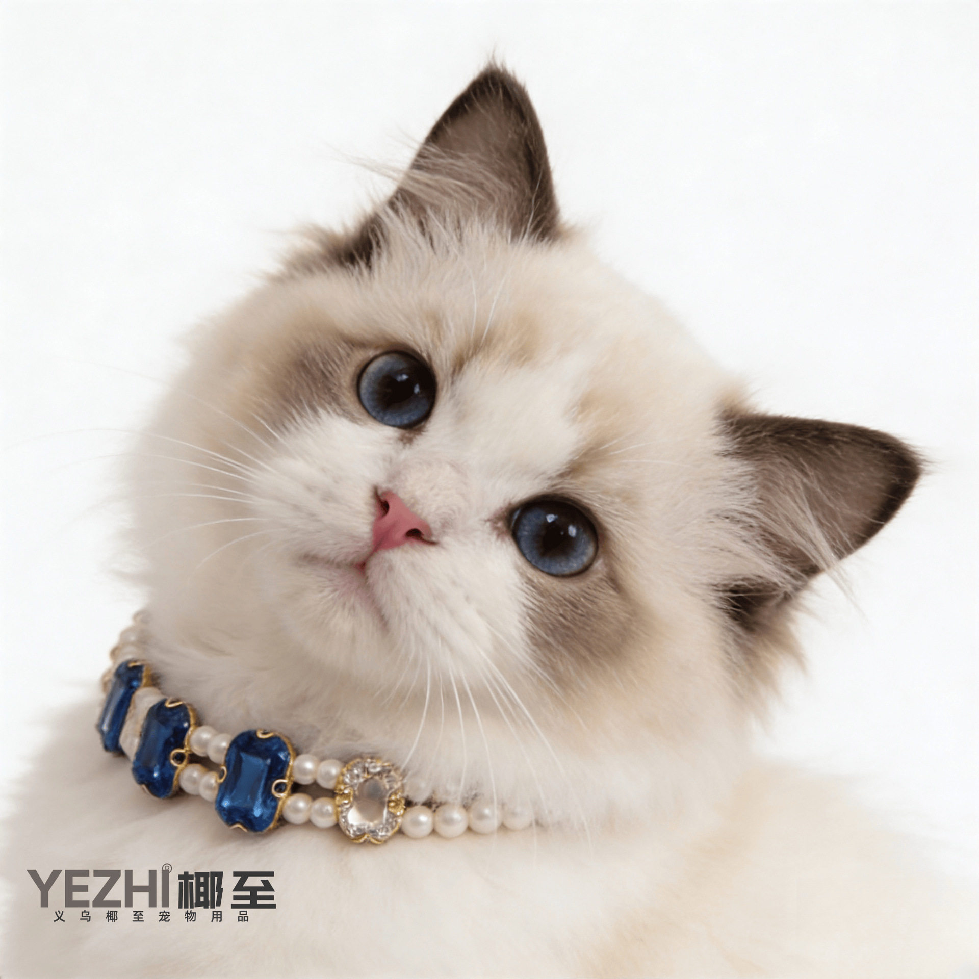 奢华镶钻水晶宠物项圈奢华猫狗项链宠物饰品现货布偶泰迪
